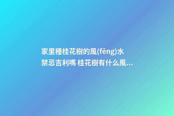 家里種桂花樹的風(fēng)水禁忌吉利嗎 桂花樹有什么風(fēng)水講究